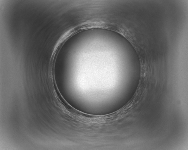 X0000065950004200603061136