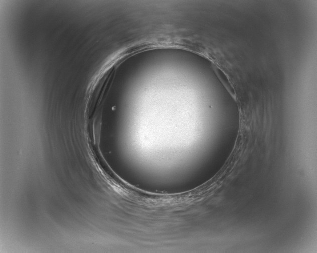 X0000065950005200603061136