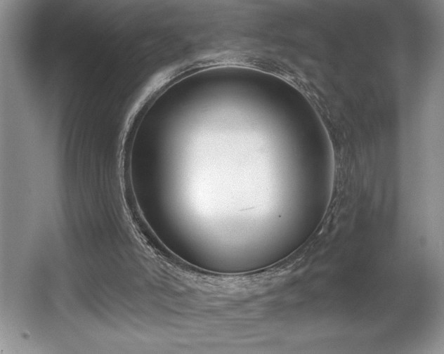 X0000065950006200603061136