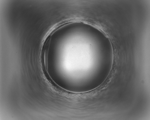 X0000065950007200603061136