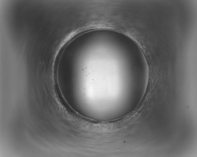 X0000065950008200603061136