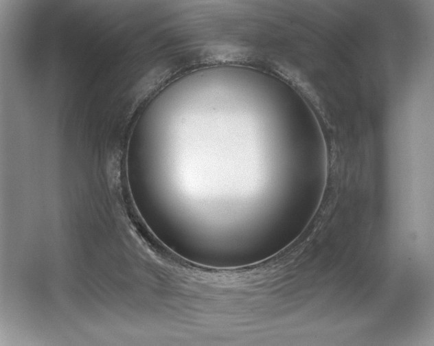 X0000065950010200603061136