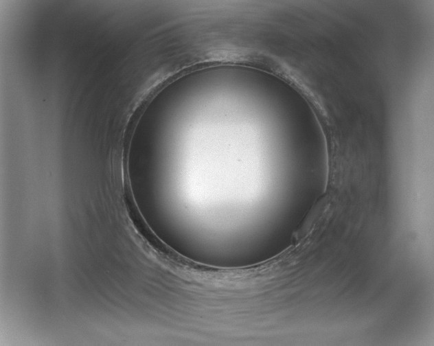 X0000065950011200603061136
