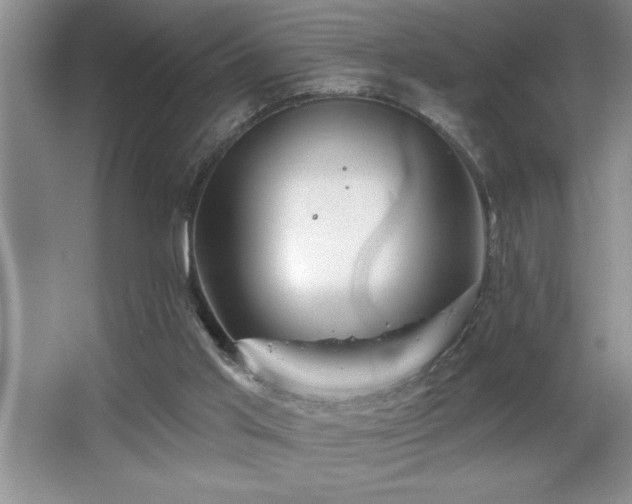 X0000065950013200603061136