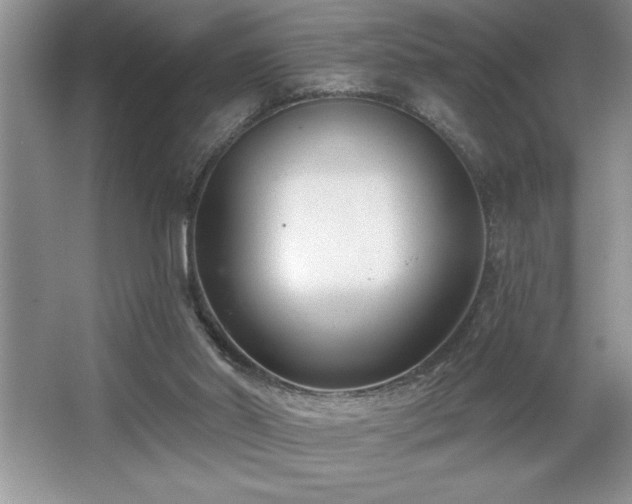 X0000065950014200603061136