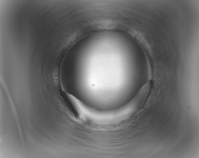 X0000065950017200603061136