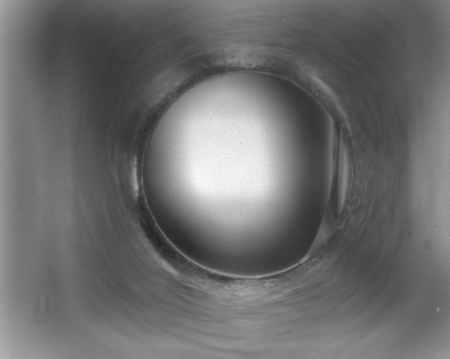 X0000065950020200603061136