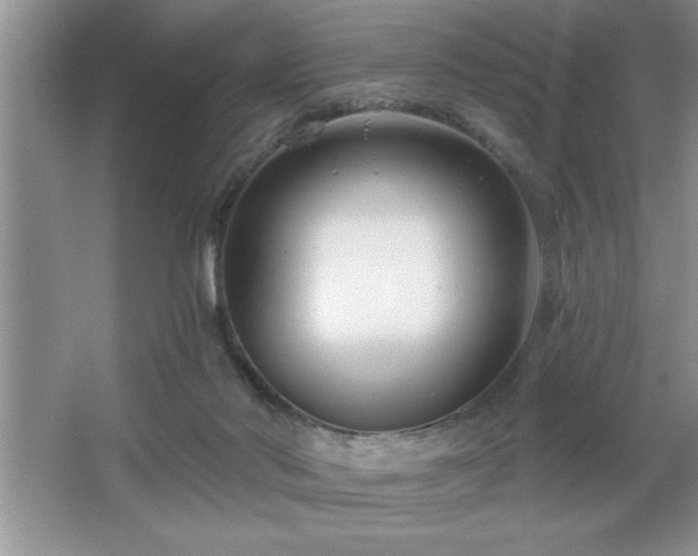 X0000065950022200603061136