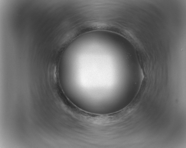 X0000065950024200603061136