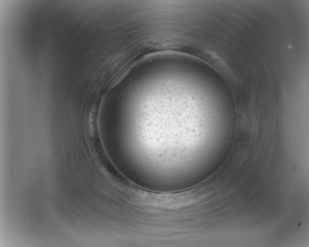 X0000065950026200603061136