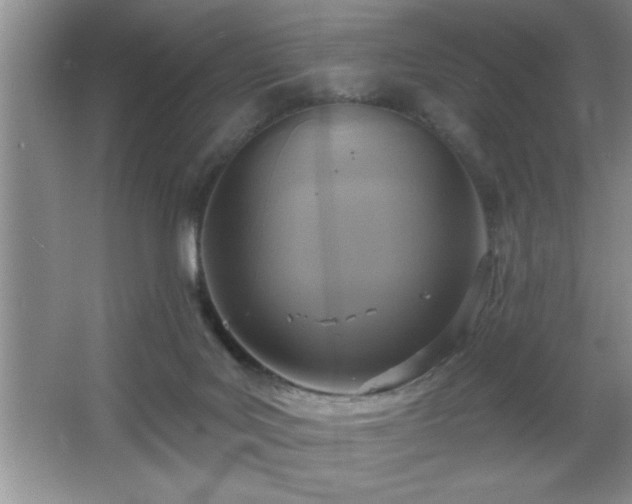X0000065950027200603061136