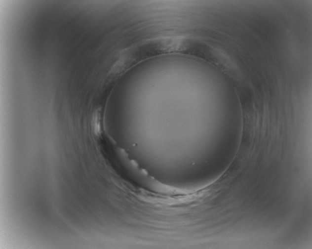 X0000065950035200603061136