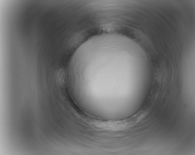 X0000065950036200603061136