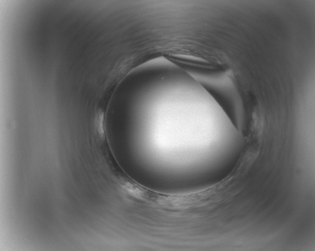 X0000065950041200603061136