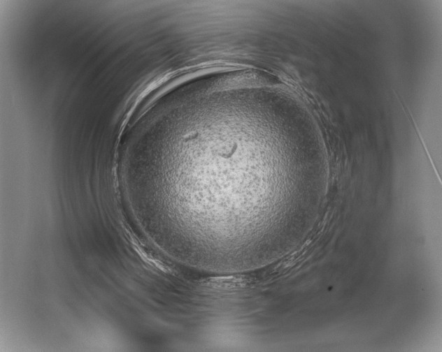 X0000065950050200603061135