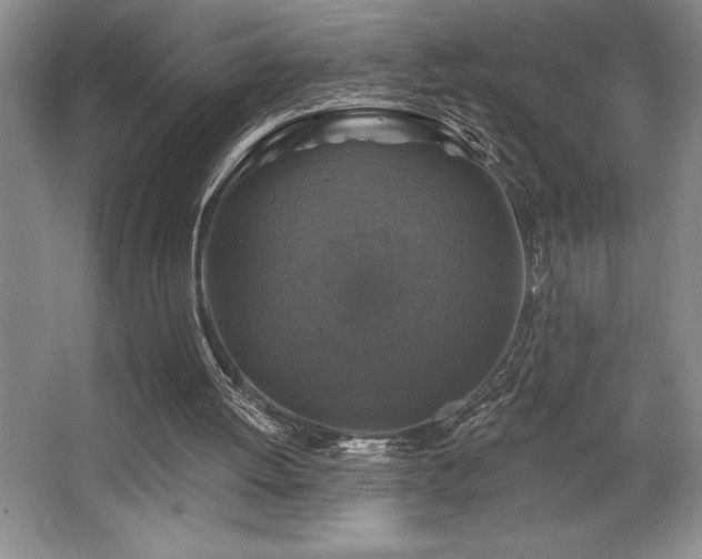 X0000065950052200603061135