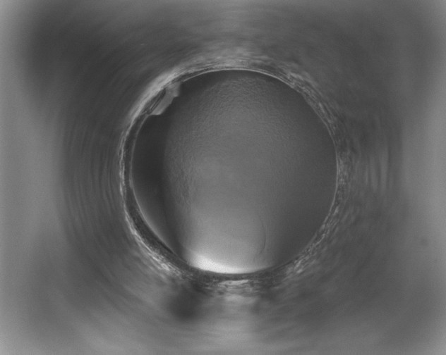 X0000065950054200603061135