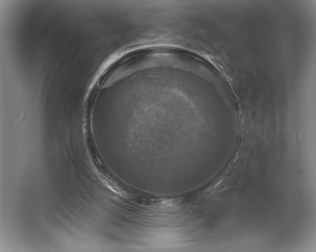 X0000065950056200603061135