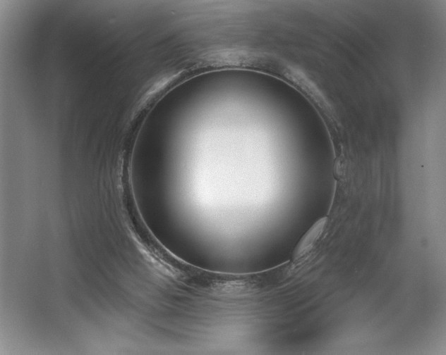 X0000065950058200603061135