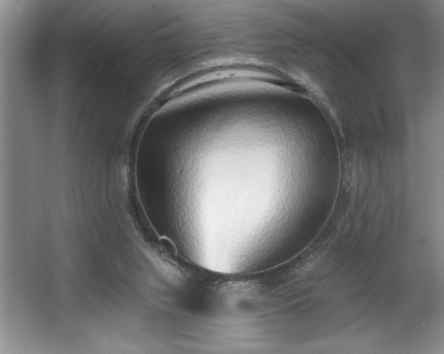 X0000065950063200603061135