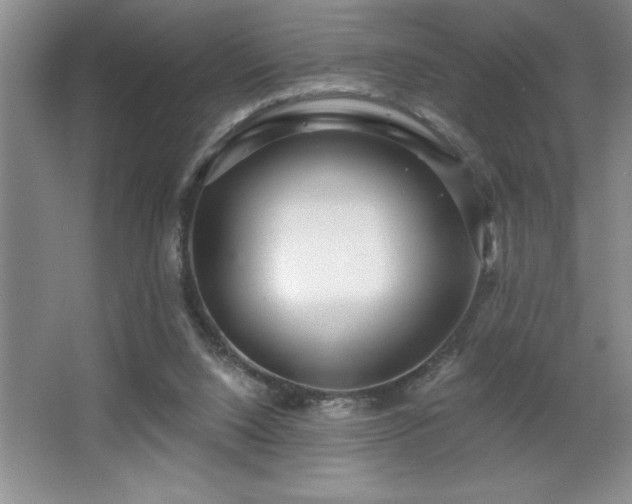 X0000065950064200603061135
