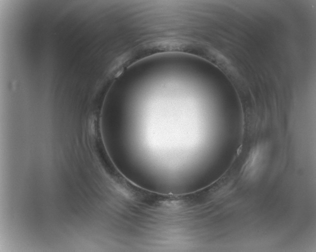 X0000065950071200603061135