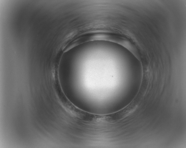 X0000065950072200603061135