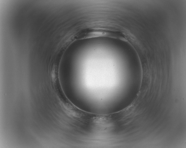 X0000065950074200603061135