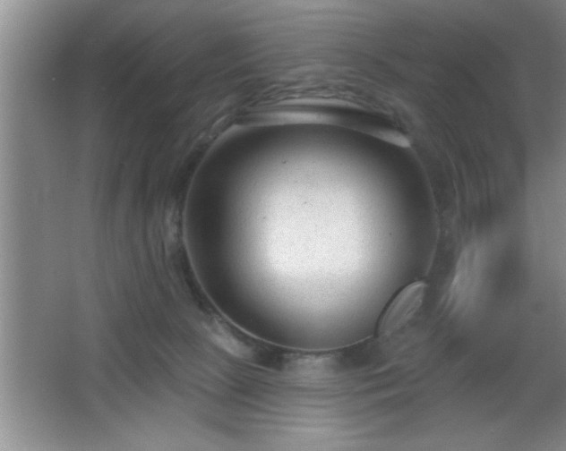 X0000065950081200603061135