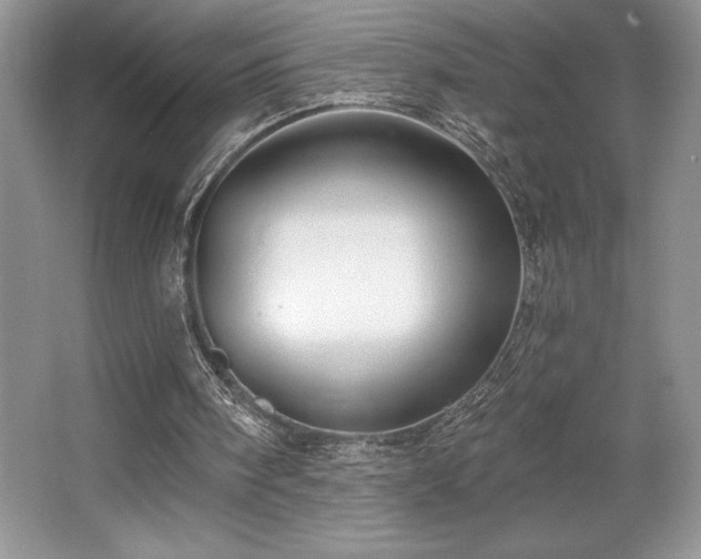 X0000065950098200603061135