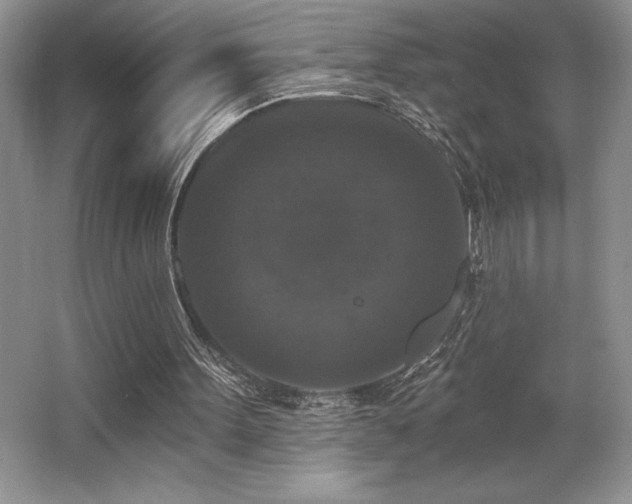 X0000065950099200603061135