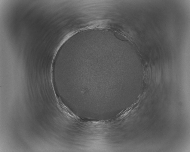 X0000065950100200603061135