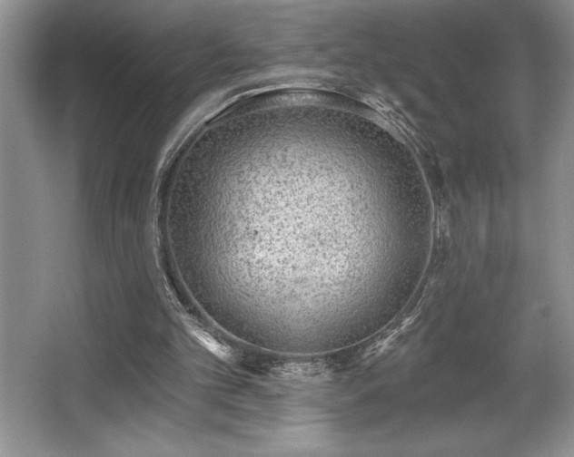 X0000065950101200603061135