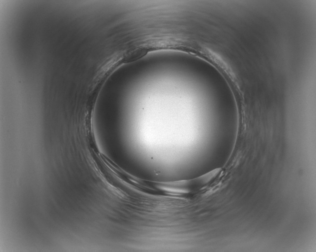 X0000065950105200603061135