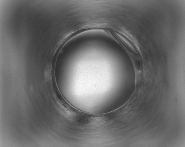 X0000065950107200603061135