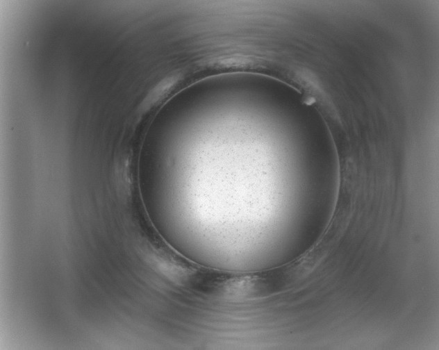 X0000065950116200603061134
