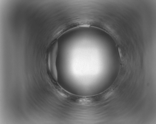X0000065950117200603061134