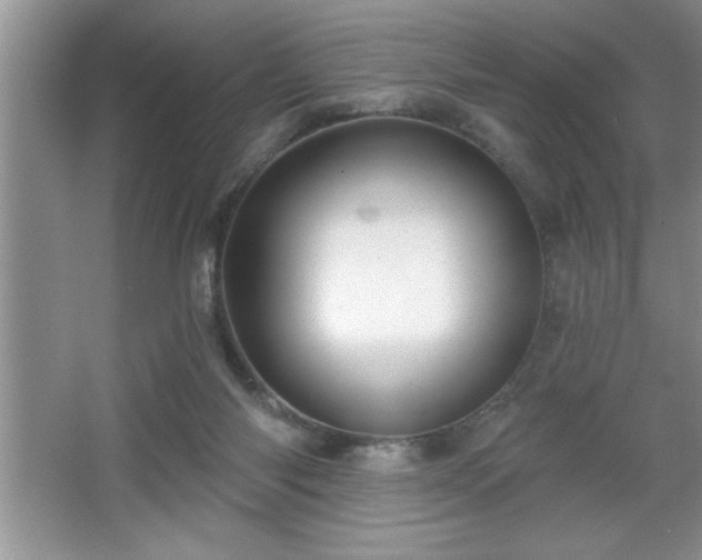 X0000065950118200603061134