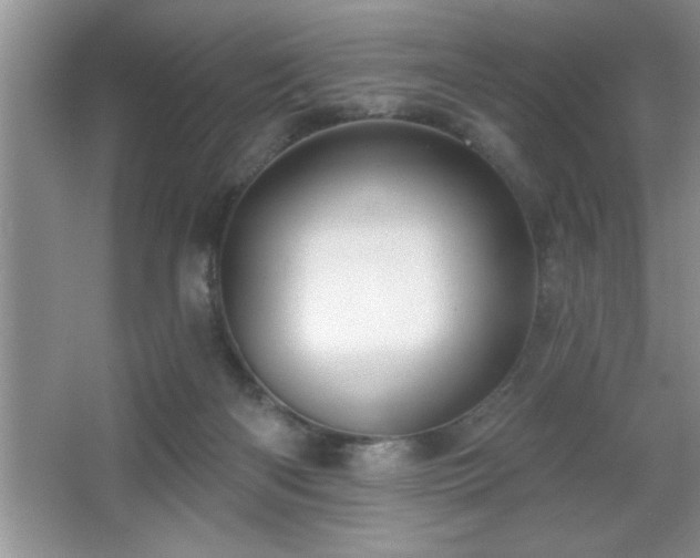 X0000065950122200603061134