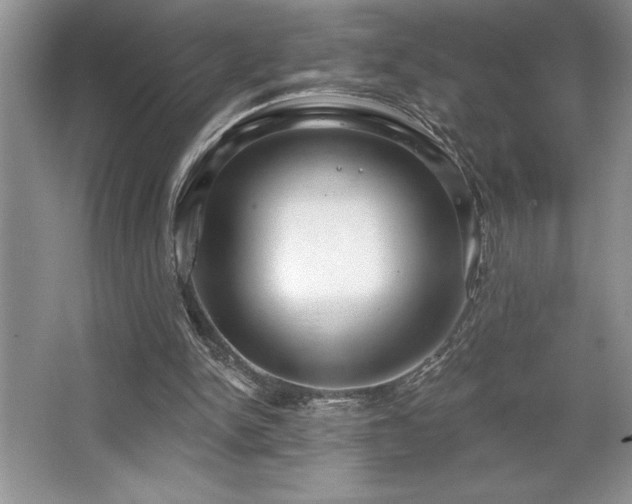 X0000065950150200603061133