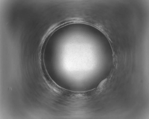 X0000065950151200603061133