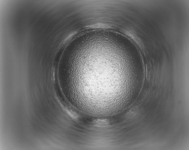 X0000065950157200603061133