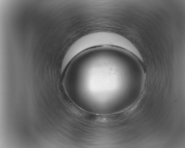 X0000065950174200603061134