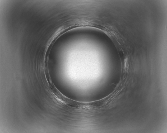 X0000065950195200603061133