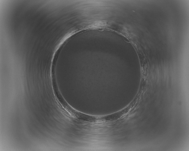 X0000065950196200603061133