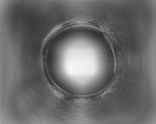 X0000065950197200603061133