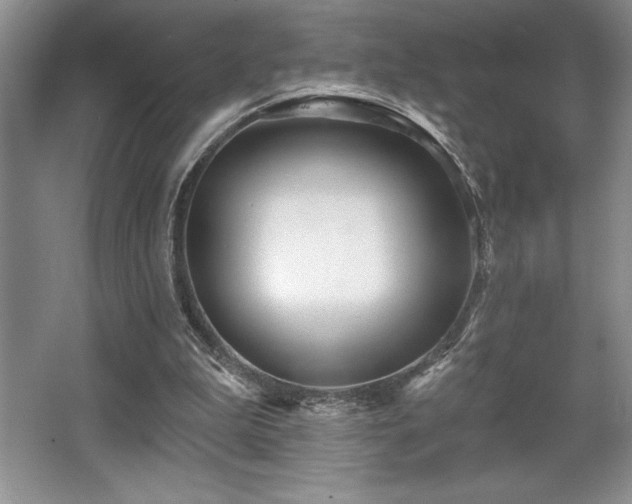 X0000065950199200603061133