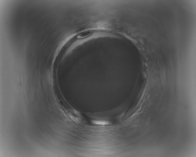 X0000065950200200603061133