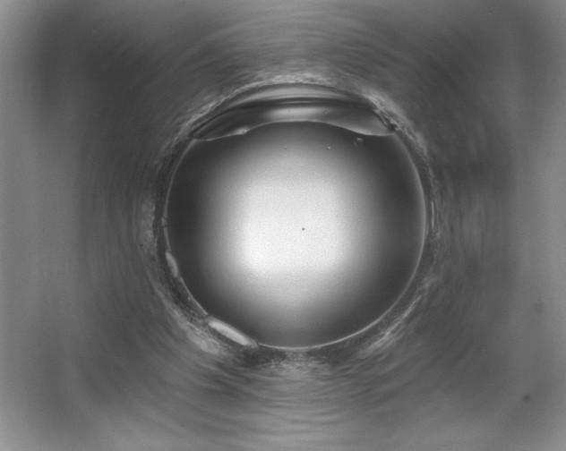 X0000065950201200603061133
