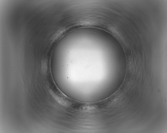 X0000065950208200603061133
